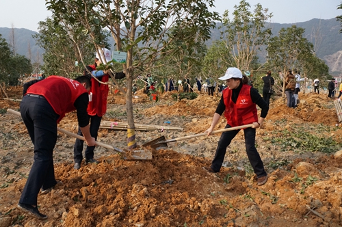 臺(tái)州所 植樹(shù)現(xiàn)場(chǎng)3_副本.jpg